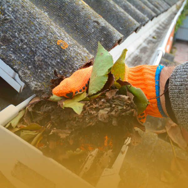 Gutter Cleaning