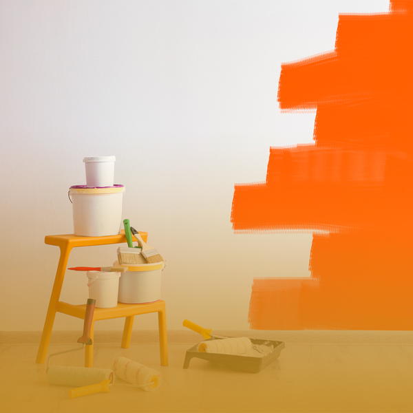 Interior and Exterior painting